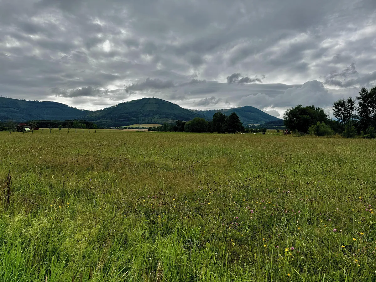 Prodej stavebního pozemku 4354 m²